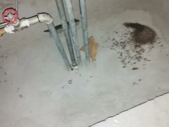 泽州卫生间测漏水价格明细